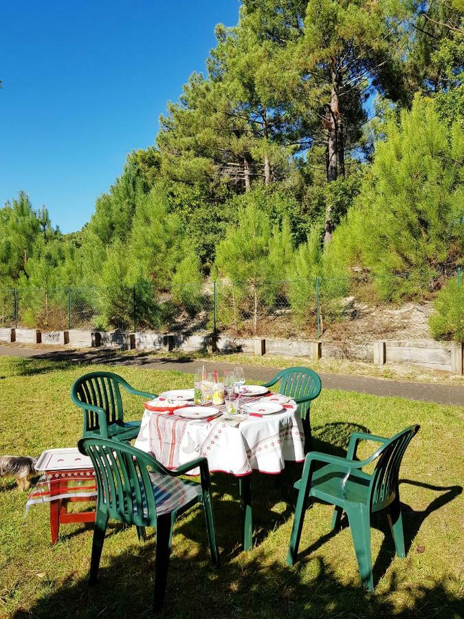 A Loue Domaine De Gasgogne A Apartment